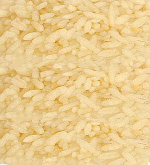 Instantní rýže